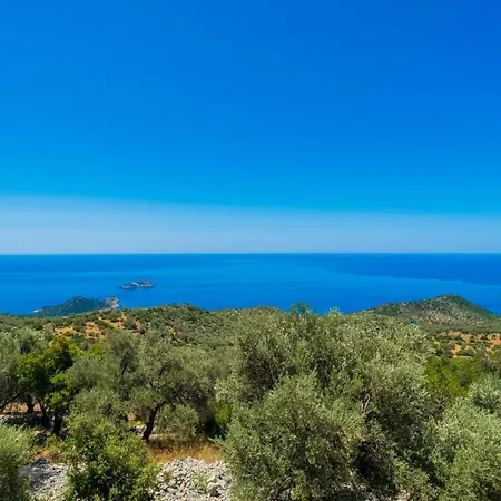 فندق Zeynep View